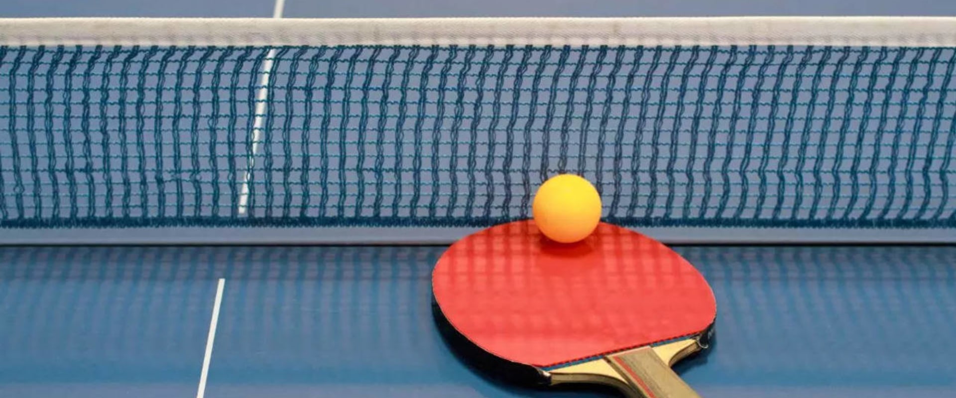 The Different Types of Spin in Table Tennis