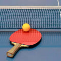 What is the Standard Size of a Table Tennis Ball?